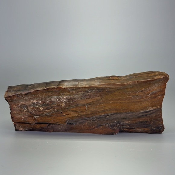 Petrified Wood - Picture 3 of 11